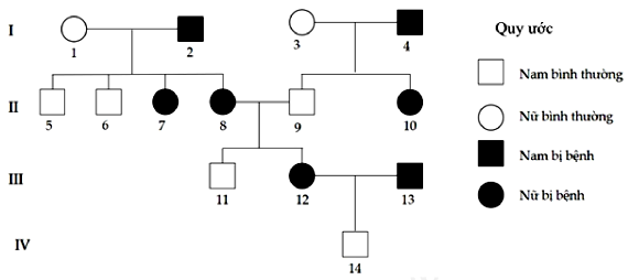 Cho sơ đồ phả hệ mô tả sự di truyền một bệnh ở người do một trong hai alen của một gen quy định (ảnh 1)