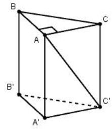  Cho lăng trụ đứng \(ABC.A'B'C'\) có độ dài cạnh bên là \(2a,\) đáy \(ABC\) là tam giác vuông cân tại \(A,\) góc giữa \(AC'\) và mặt phẳng \(\left( {BCC'B'} \right)\) bằng \({30^0}\) (tham kh (ảnh 1)