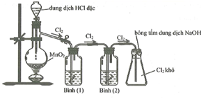 Cho thí nghiệm mô tả thí nghiệm điều chế khí Cl2 từ MnO2 và dung dịch HCl: (ảnh 1)