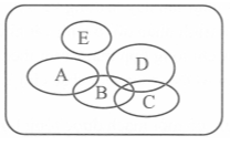 Ổ sinh thái dinh dưỡng của năm quần thể A, B, C, D, E thuộc năm loài thú (ảnh 1)