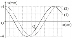 Một sóng hình sin đang lan truyền đến một sợi dây theo chiều dương của trục Ox Đường (ảnh 1)