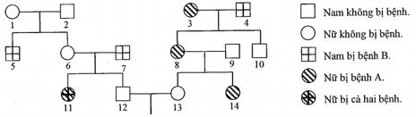 Phả hệ ở hình dưới đây mô tả sự di truyền 2 bệnh ở người, mỗi bệnh đều do một gen có 2 alen quy định; (ảnh 1)
