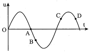 Đồ thị hình bên biểu diễn sự biến thiên theo thời gian t của li độ u (ảnh 1)
