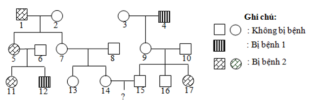 Phả hệ sau đây mô tả sự di truyền của 2 bệnh, mỗi bệnh do 1 gen có 2 alen quy định (ảnh 1)