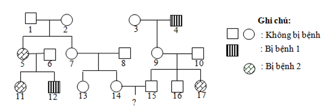 Phả hệ sau đây mô tả sự di truyền của 2 bệnh phân li độc lập (ảnh 1)