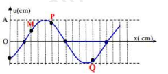 Một sợi dây đàn hồi đủ dài đang có  sóng ngang hình sin truyền qua theo chiều dương của trục Ox,  với tần số sóng   Ở thời điểm t, một đoạn của sợi dây  và vị trí của ba điểm M, P, Q trên đoạn dây này như hình vẽ.  Giả sử ở thời điểm   ba điểm M, P, Q thẳng hàng. Giá trị   nhỏ nhất của Δt gần nhất với kết quả nào sau đây?    A. 0,51s 	 B. 0,41s. 	 C. 0,72s. 	 D. 0,24s.  (ảnh 1)