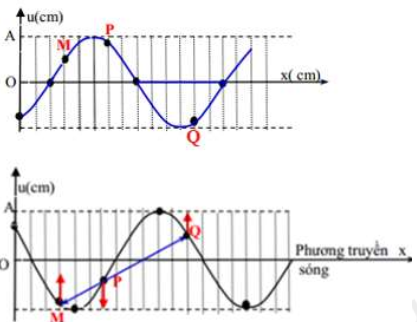 Một sợi dây đàn hồi đủ dài đang có  sóng ngang hình sin truyền qua theo chiều dương của trục Ox,  với tần số sóng   Ở thời điểm t, một đoạn của sợi dây  và vị trí của ba điểm M, P, Q trên đoạn dây này như hình vẽ.  Giả sử ở thời điểm   ba điểm M, P, Q thẳng hàng. Giá trị   nhỏ nhất của Δt gần nhất với kết quả nào sau đây?    A. 0,51s 	 B. 0,41s. 	 C. 0,72s. 	 D. 0,24s.  (ảnh 2)
