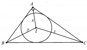 Cho tam giác ABC vuông tại A. Gọi I là tâm đường tròn nội tiếp tam giác ABC.  (ảnh 1)