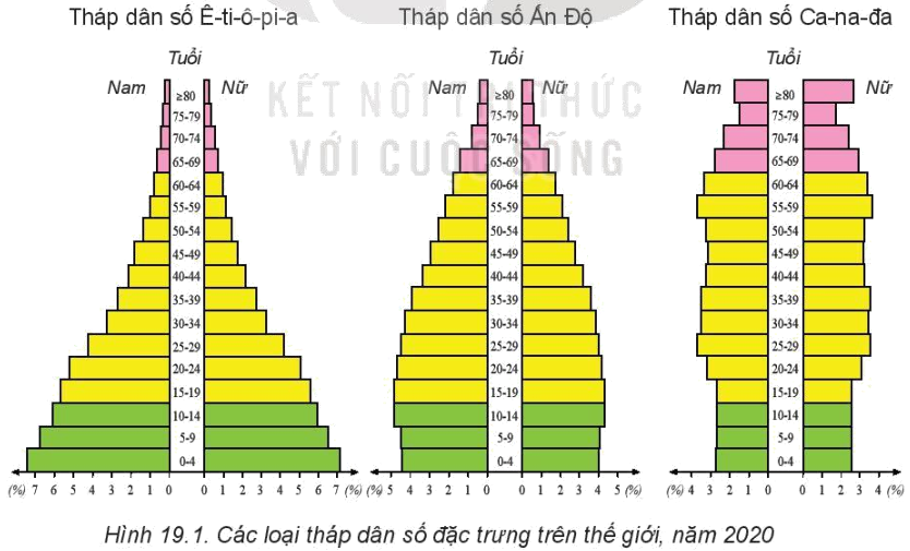 Quan sát hình 19.1, hãy so sánh sự khác nhau giữa tháp dân số năm 2020 của các nước Ê-ti-ô-pi-a, Ấn Độ và Ca-na-đa. (ảnh 1)