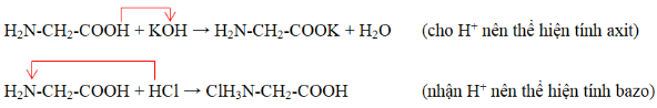 Để chứng minh aminoaxit là hợp chất lưỡng tính ta có thể cho chất này thực hiện phản (ảnh 1)