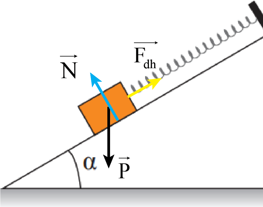 Một vật được giữ yên trên một mặt phẳng nghiêng nhẵn bởi một lò xo (Hình 13.10).   1. Có những lực nào tác dụng lên vật? 2. Phân tích trọng lực tác dụng lên vật thành hai thành phần và nêu rõ tác dụng của hai lực này. (ảnh 2)