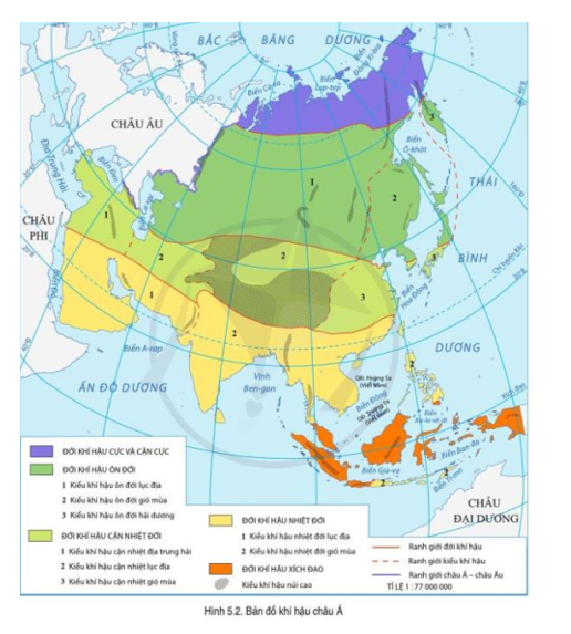 Đọc thông tin và quan sát hình 5.1, hình 5.2, hãy trình bày đặc điểm tự nhiên của khu vực Trung Á (ảnh 2)