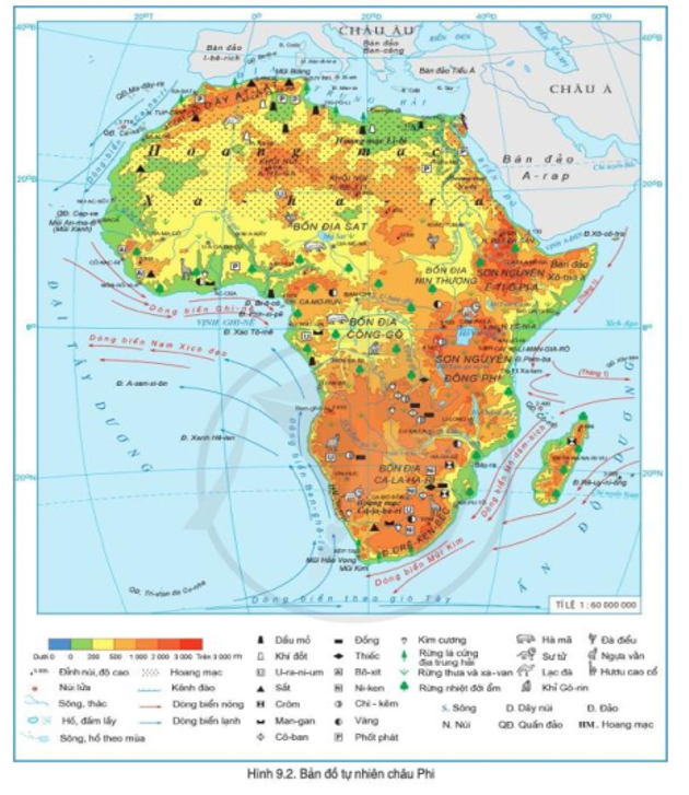 Quan sát hình 9.2, hãy nhận xét đặc điểm đường bờ biển châu Phi (ảnh 1)