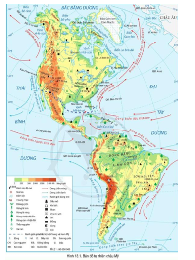 Đọc thông tin và quan sát hình 13.1, 14.1, hãy cho biết Bắc Mỹ có những đới thiên nhiên nào (ảnh 1)