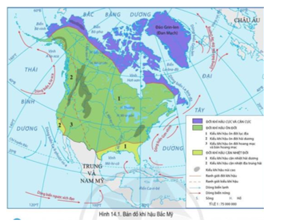 Đọc thông tin và quan sát hình 13.1, 14.1, hãy cho biết Bắc Mỹ có những đới thiên nhiên nào (ảnh 2)