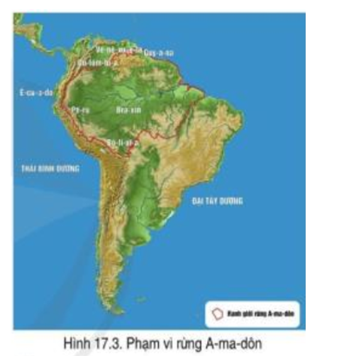 Đọc thông tin và quan sát hình 17.3, hãy cho biết đặc điểm rừng nhiệt đới A-ma-dôn (ảnh 1)