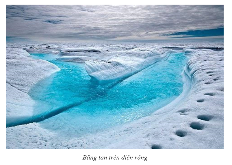 Hãy thu thập thông tin về hiện tượng băng tan và băng trôi ở châu Nam Cực (ảnh 1)
