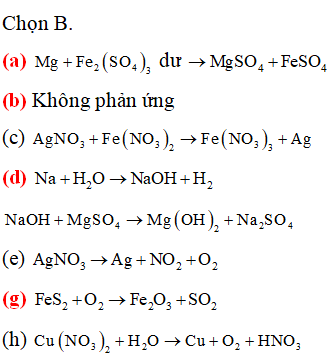 Tiến hành các thí nghiệm sau:  (a) Cho Mg vào dung dịch Fe2(SO4)3 dư. (ảnh 1)