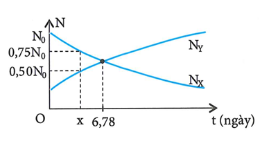 Hình vẽ dưới là đồ thị biểu diễn sự phụ thuộc của số nguyên tử chất X và (ảnh 2)