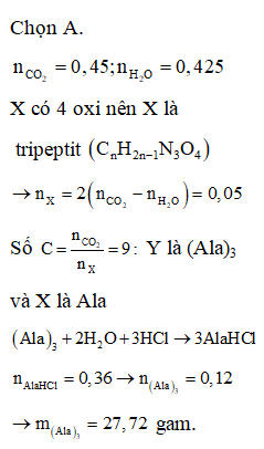 X là một α-amino axit no, mạch hở có một nhóm –COOH và một nhóm (ảnh 1)