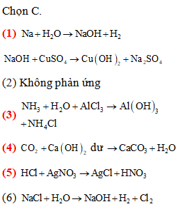 Tiến hành các thí nghiệm sau:  (1) Cho kim loại Na vào dung dịch CuSO4 (ảnh 1)