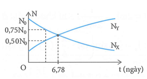 Hình vẽ dưới là đồ thị biểu diễn sự phụ thuộc của số nguyên tử chất X và (ảnh 1)