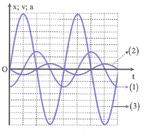 Một học sinh khảo sát dao động điều hòa của một chất điểm dọc theo trục (ảnh 1)