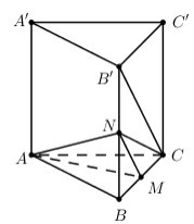 Tính khoảng cách giữa 2 đường thẳng AM và B'C (ảnh 1)