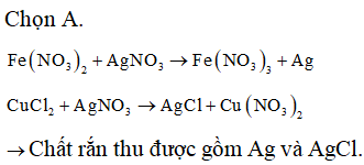 Cho hỗn hợp dung dịch gồm Fe(NO3)2 và CuCl2 vào dung dịch AgNO3 dư (ảnh 1)