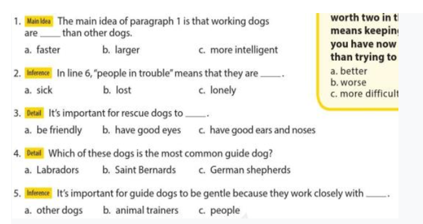 Answer the questions about Dogs with jobs ( Trả lời câu hỏi về bài “Dogs with jobs”) (ảnh 1)