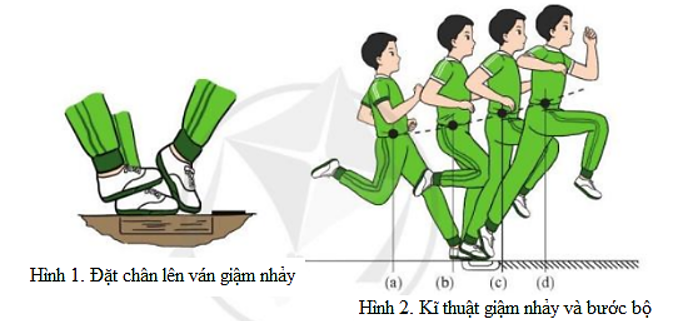 Em hãy nêu cách thực hiện kĩ thuật giậm nhảy và bước bộ trong nhảy xa kiểu ngồi (ảnh 1)