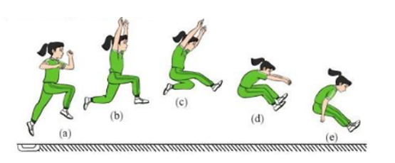 Em hãy mô tả chuyển động của chân khi thực hiện kĩ thuật bay trên không và rơi xuống cát trong nhảy xa kiểu ngồi (ảnh 1)