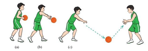 Em hãy mô tả chuyển động của tay trong kĩ thuật chuyền bóng hai tay trước ngực bật đất (ảnh 1)