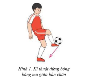 Em hãy vận dụng kĩ thuật dừng bóng bằng mu giữa bàn chân vào các trò chơi giải trí, rèn luyện nâng (ảnh 1)
