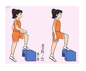 Em hãy vận dụng kĩ thuật tâng cầu bằng má trong bàn chân vào tập luyện để nâng cao sức khoẻ (ảnh 2)
