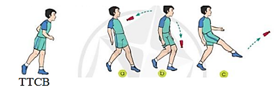 Thảo luận: Những điểm giống và khác nhau khi thực hiện kĩ thuật đỡ cầu bằng đùi, đỡ cầu bằng mu bàn chân và đỡ cầu bằng ngực (ảnh 1)