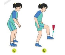 Thảo luận: Những điểm giống và khác nhau khi thực hiện kĩ thuật đỡ cầu bằng đùi, đỡ cầu bằng mu bàn chân và đỡ cầu bằng ngực (ảnh 3)