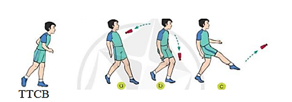 Vận dụng kĩ thuật đỡ cầu vào các trò chơi vận động tập luyện hằng ngày trong rèn luyện khả năng khéo léo (ảnh 1)