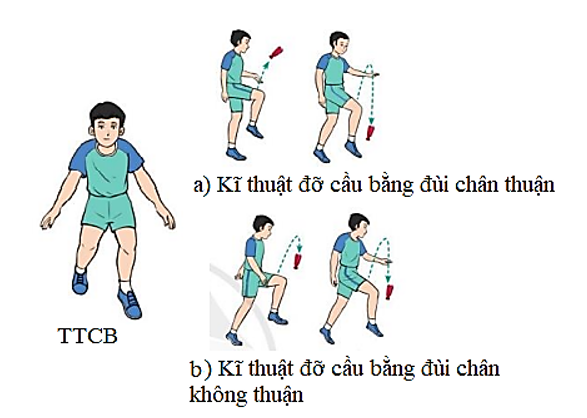 Vận dụng kĩ thuật đỡ cầu vào các trò chơi vận động tập luyện hằng ngày trong rèn luyện khả năng khéo léo (ảnh 2)