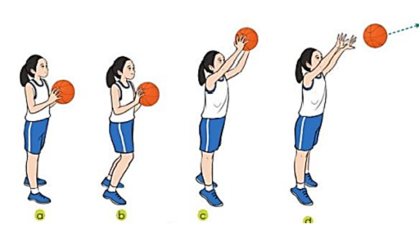 Vận dụng phối hợp kĩ thuật tại chỗ ném rổ hai tay trước ngực với các kĩ thuật di chuyển, dẫn bóng vào các trò chơi vận động và thi đấu môn Bóng rổ (ảnh 1)