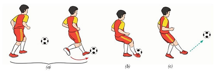Vận dụng kỹ thuật đá bóng bằng lòng bàn chân vào các trò chơi vận động, vui chơi và tập luyện hàng ngày (ảnh 1)