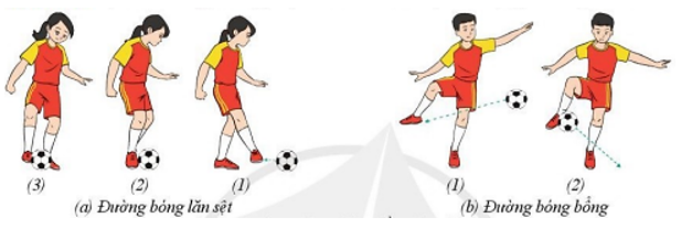 Vận dụng kĩ thuật dừng bóng và dẫn bóng bằng lòng bàn chân vào các trò chơi chuyền bóng, hoạt động vui chơi để (ảnh 1)