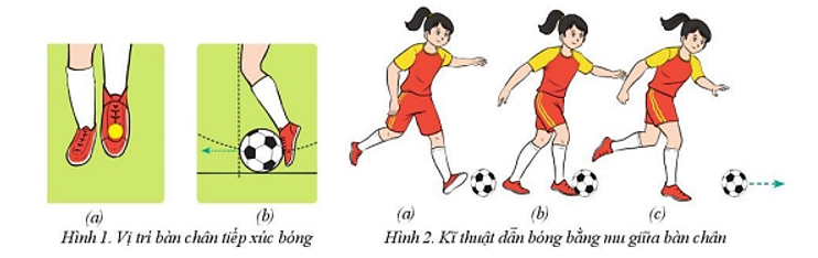 Vận dụng kĩ thuật dẫn bóng và dừng bóng bằng mu giữa bàn chân vào trong các trò chơi chuyền bóng (ảnh 1)