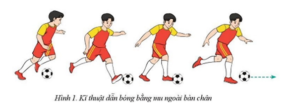 Nêu những điểm khác nhau giữa kĩ thuật đá bóng bằng mu trong bàn chân với kĩ thuật đá bóng bằng lòng bàn chân (ảnh 1)