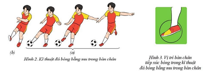 Vận dụng kĩ thuật dẫn bóng bằng mu ngoài bàn chân và kĩ thuật đá bóng bằng mu trong bàn chân vào các (ảnh 2)