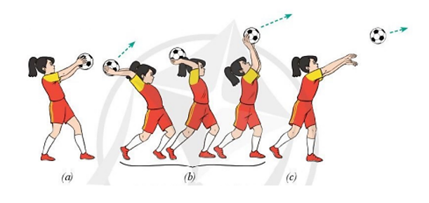 Vận dụng kĩ thuật tại chỗ ném biến và bắt bóng lăn sệt vào các trò chơi vận động, hoạt động tập luyện hằng và (ảnh 1)