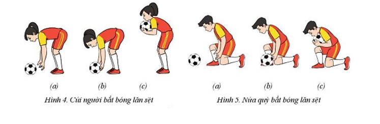 Vận dụng kĩ thuật tại chỗ ném biến và bắt bóng lăn sệt vào các trò chơi vận động, hoạt động tập luyện hằng và (ảnh 2)