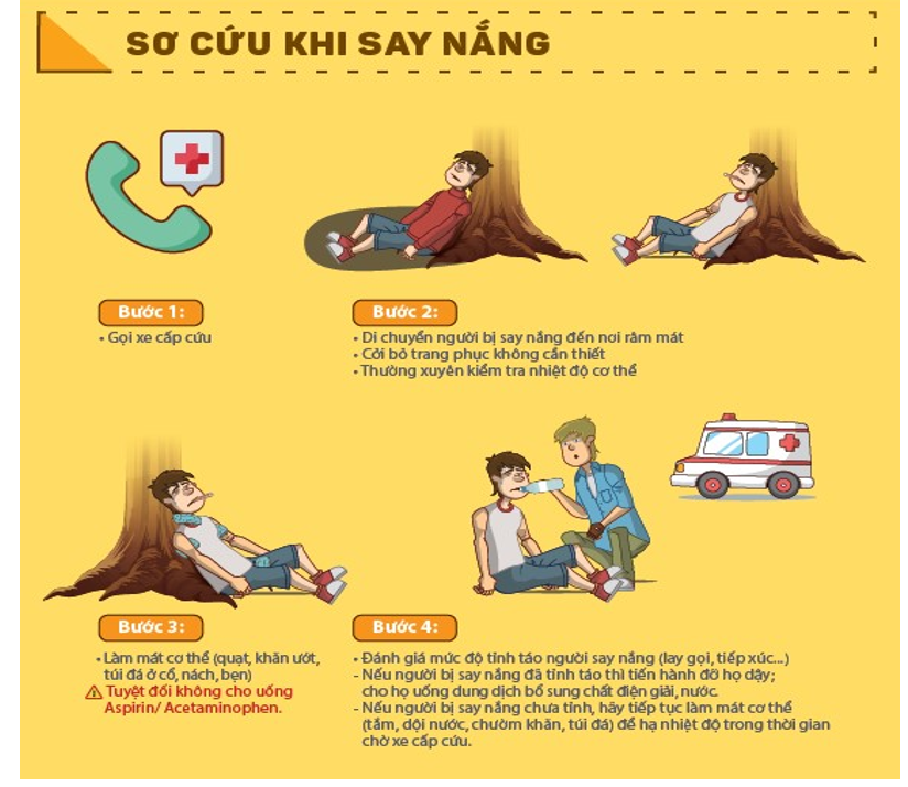Em hãy xây dựng và trình bày trước lớp sơ đồ hướng dẫn 1 số cách sơ cứu tai nạn thông thường áp dụng cho học sinh ở trường em đang học (ảnh 1)