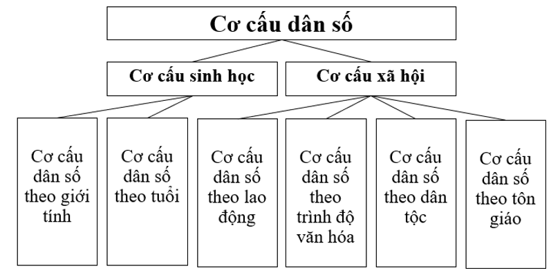 Hãy vẽ sơ đồ thể hiện các loại cơ cấu dân số (ảnh 1)