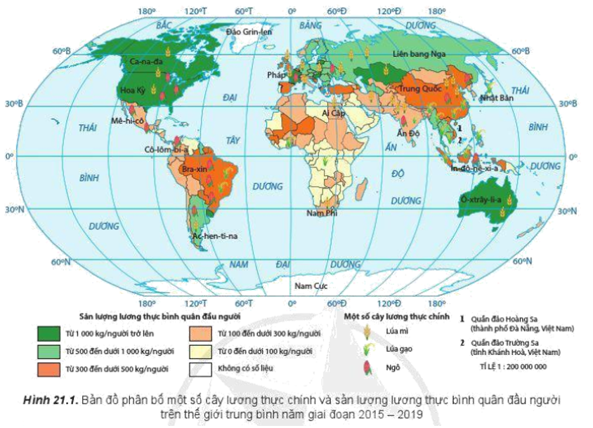 Đọc thông tin và quan sát hình 21.1, hãy nhận xét và giải thích sự phân bố các cây lương thực chính trên thế giới (ảnh 1)